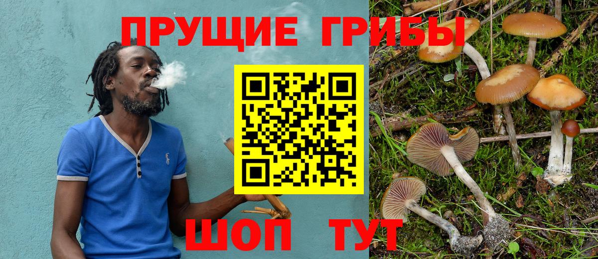 Псилоцибиновые грибы GOLDEN TEACHER  Вход с VPN  Моздок 