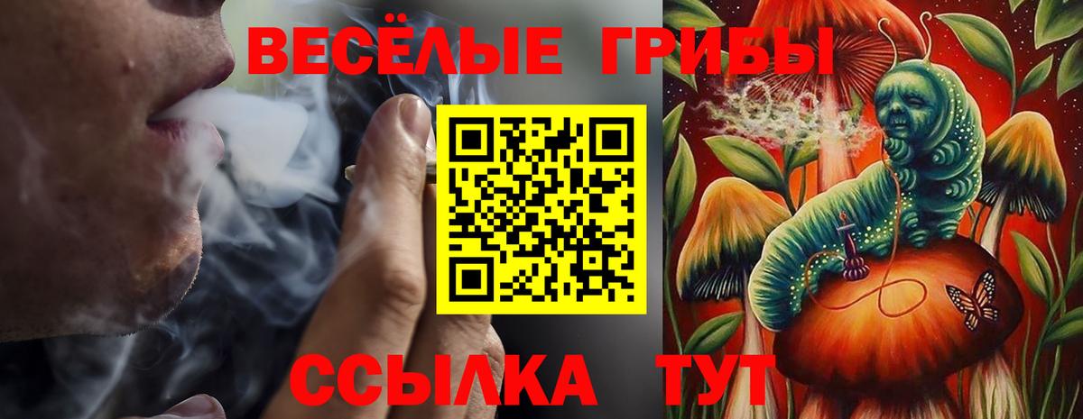 Псилоцибиновые грибы ЛСД Моздок